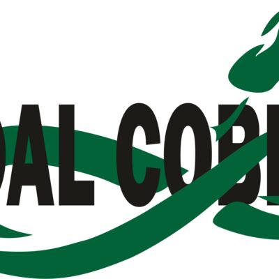 Kendal Snowsports Cobras2 Thumbnail